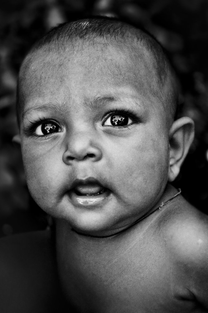 The yes are the window to the world