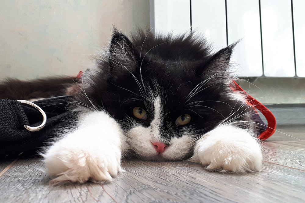 Photograph by Михаил Рассказ