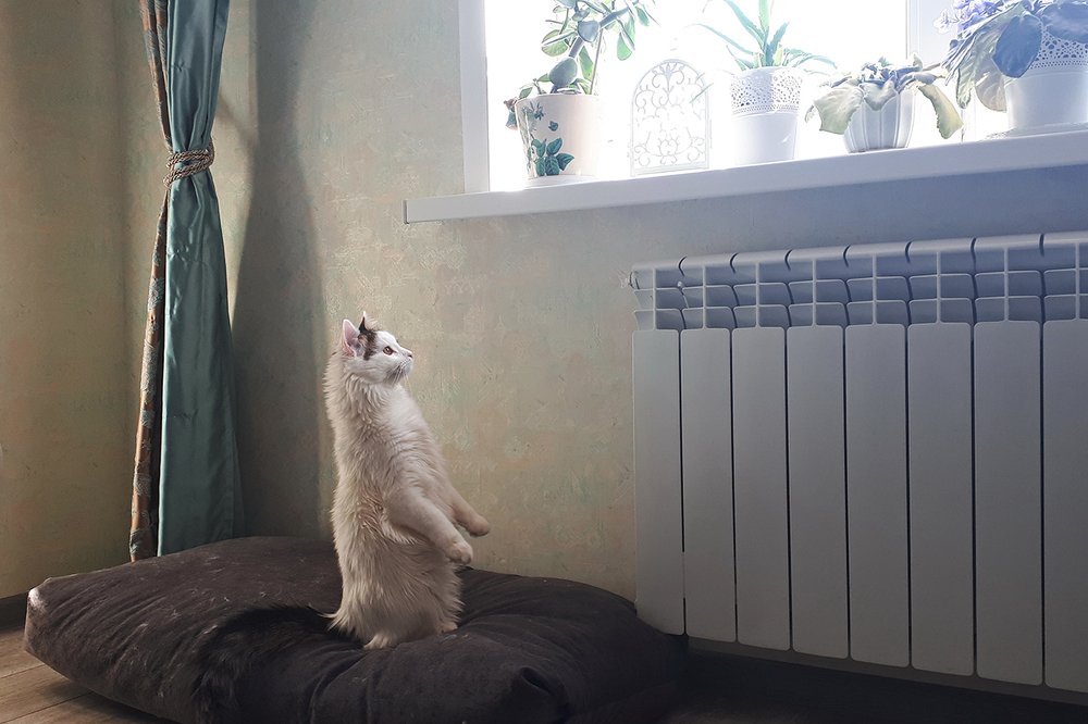 Photograph by Михаил Рассказ