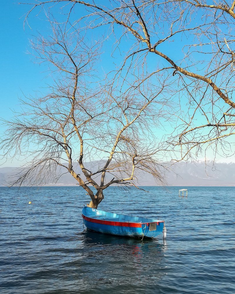 Photograph by Daniela Stanojkovska