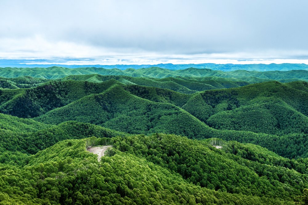 Shades of Sakhalin Island