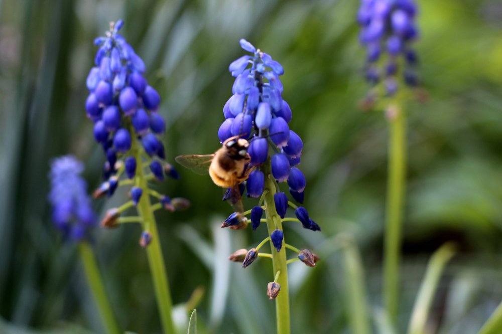 Photograph by Виктория Бурова