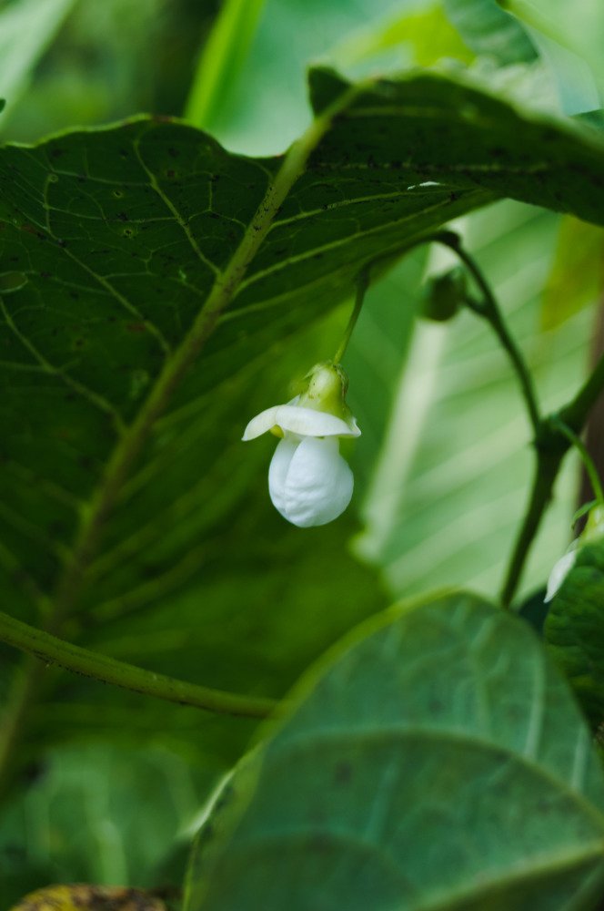 Фотография автора Алина Петрухина