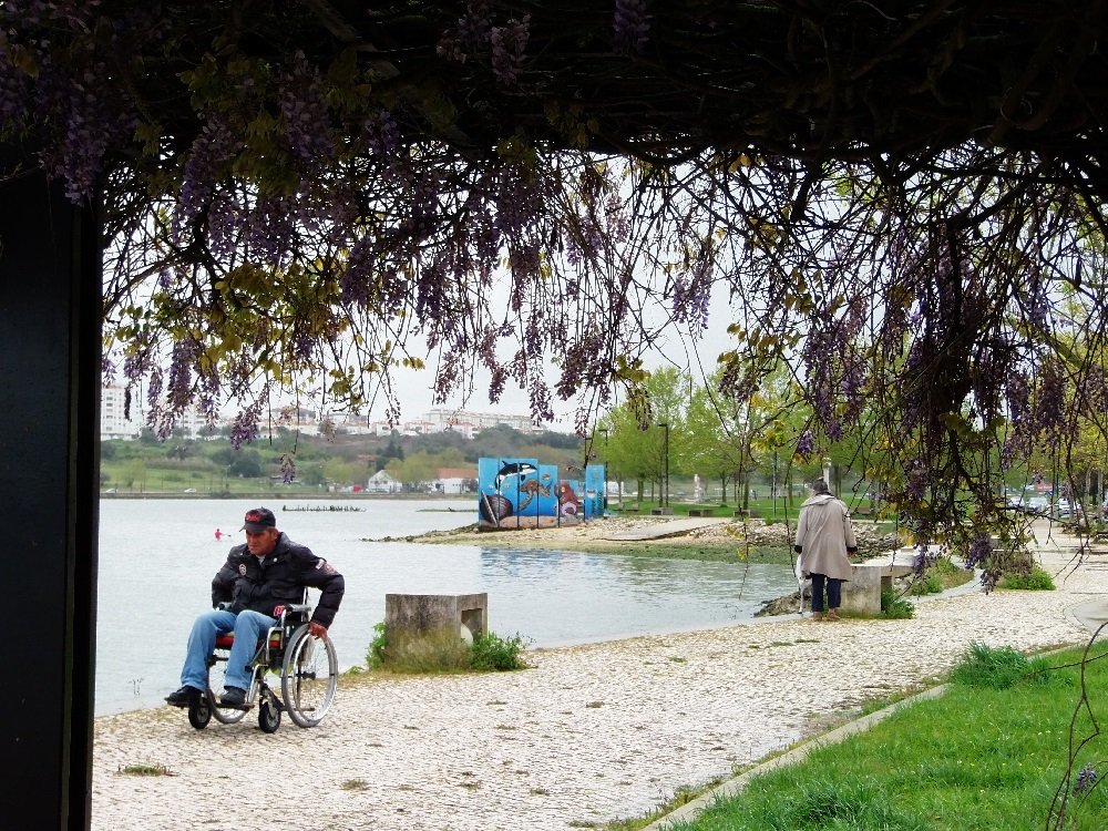 A Vida numa Cadeira de rodas