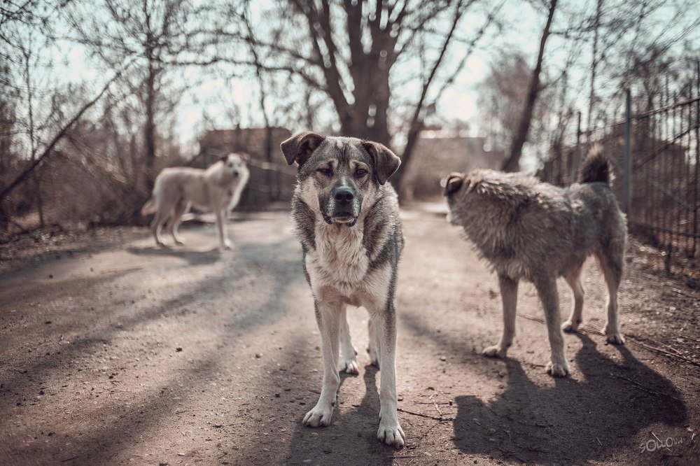 Photograph by Виктор