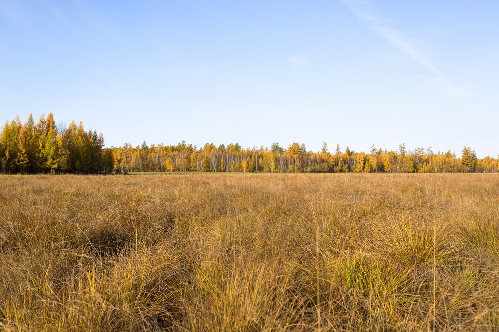 Осеннее поле.