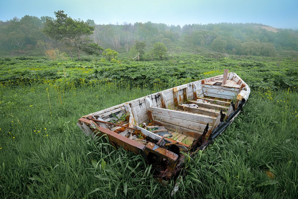 Зелёное море