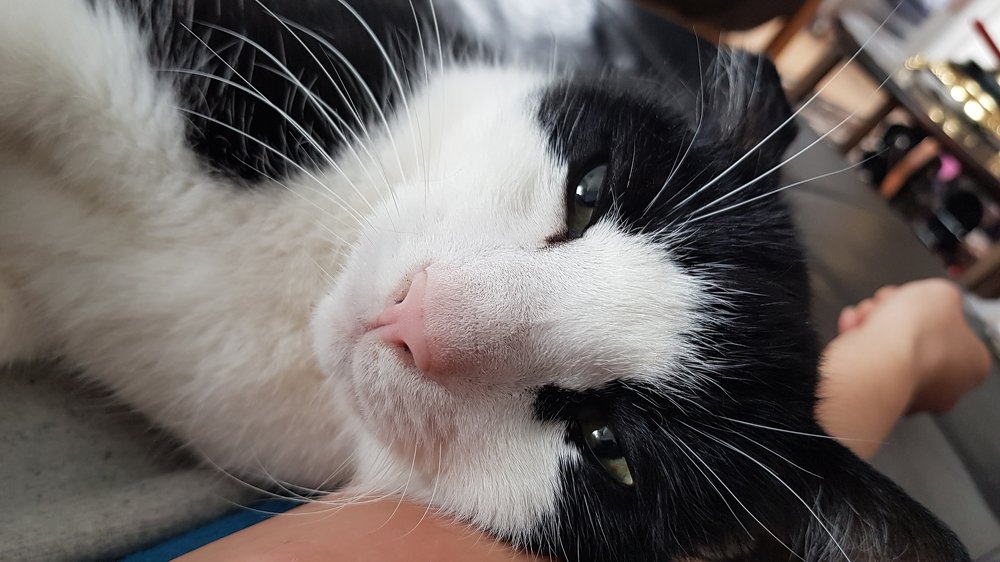 Photograph by Elisabeth Vinther