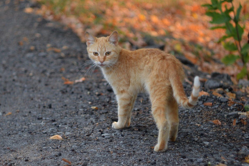Photograph by Александр Дергаусов
