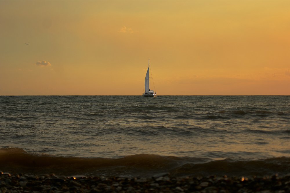 Photograph by Ирина Секачева