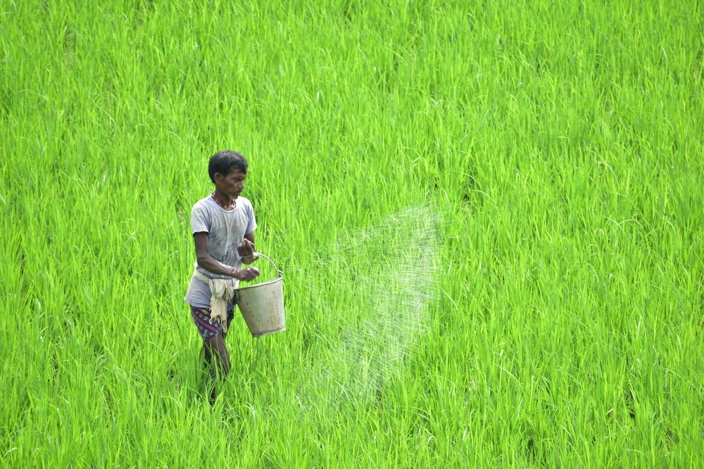 Photograph by LALUPRASAD SENAPATI