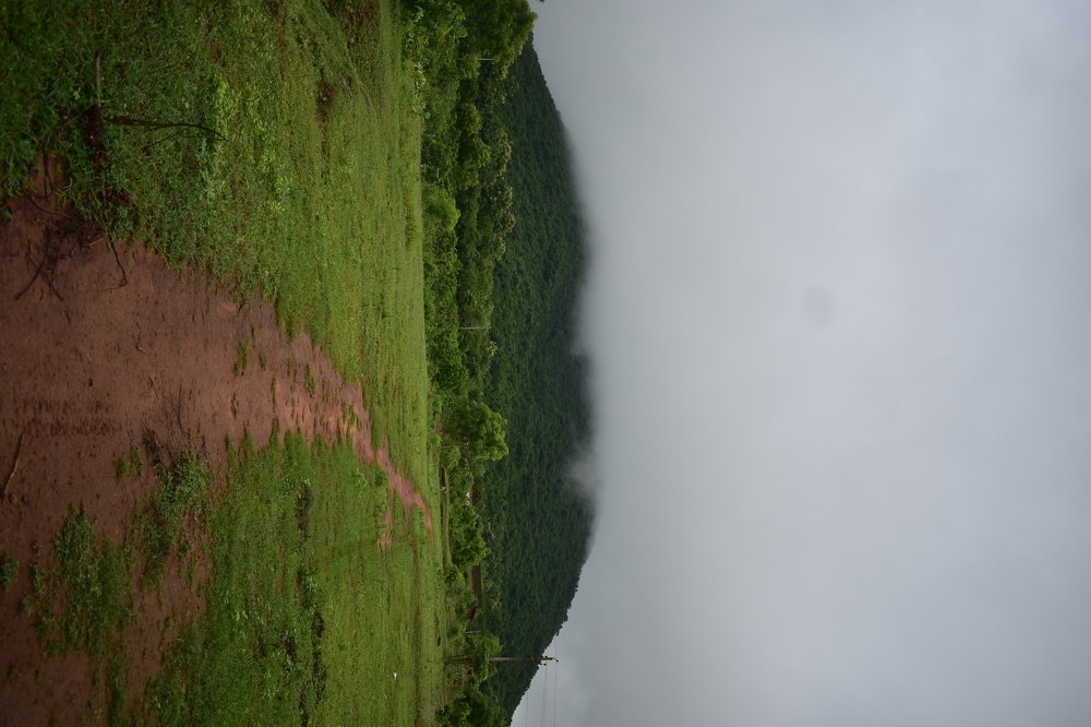 Photograph by LALUPRASAD SENAPATI