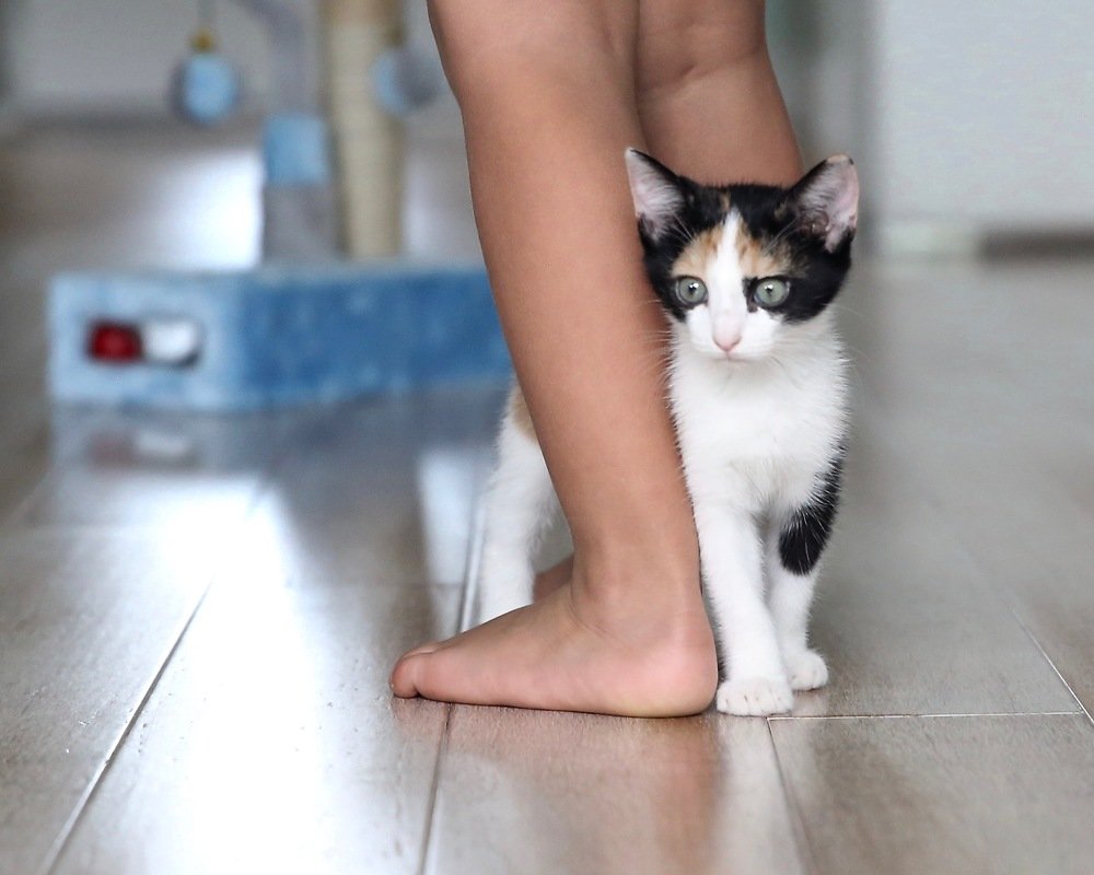 Photograph by Мирная Ксения