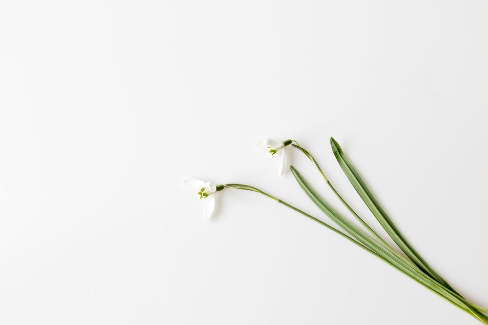 Photograph by Zdenka Janaskova