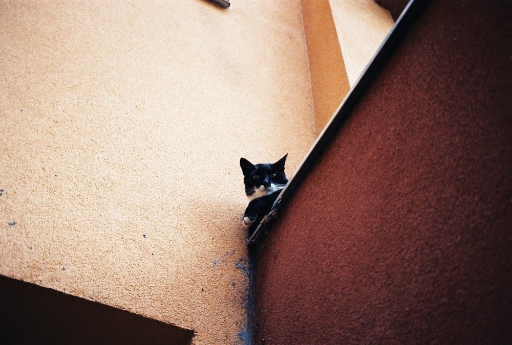 Photograph by Inela Kovacevic