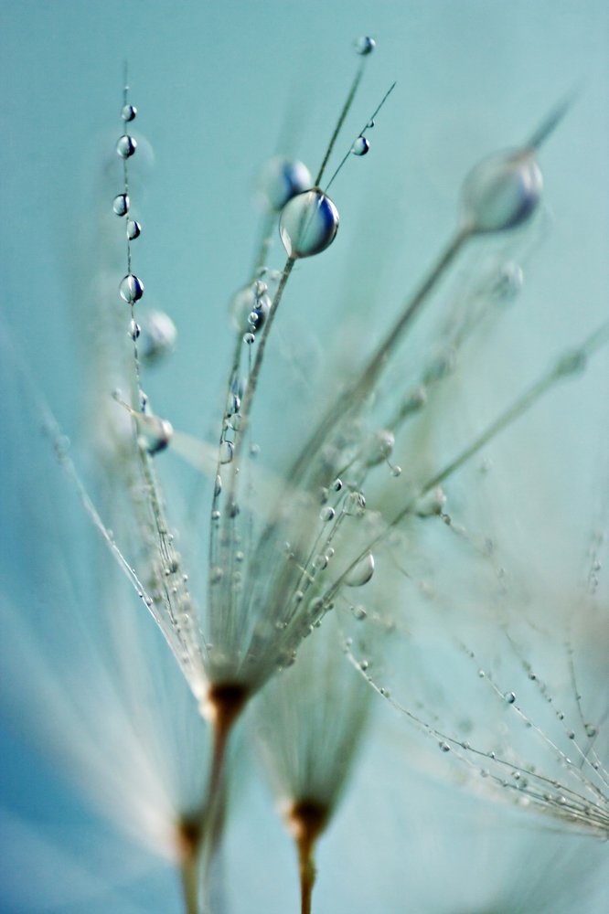 Photograph by Zdenka Janaskova