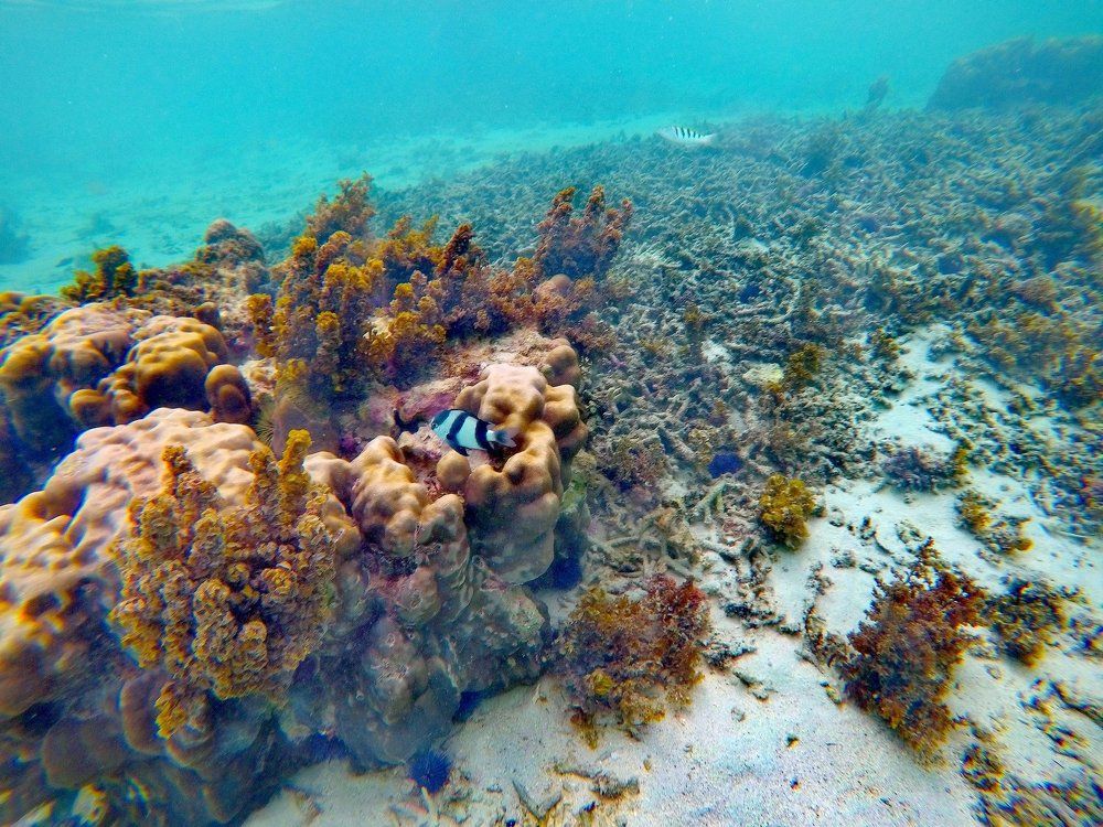 Photograph by Gawtam Julha