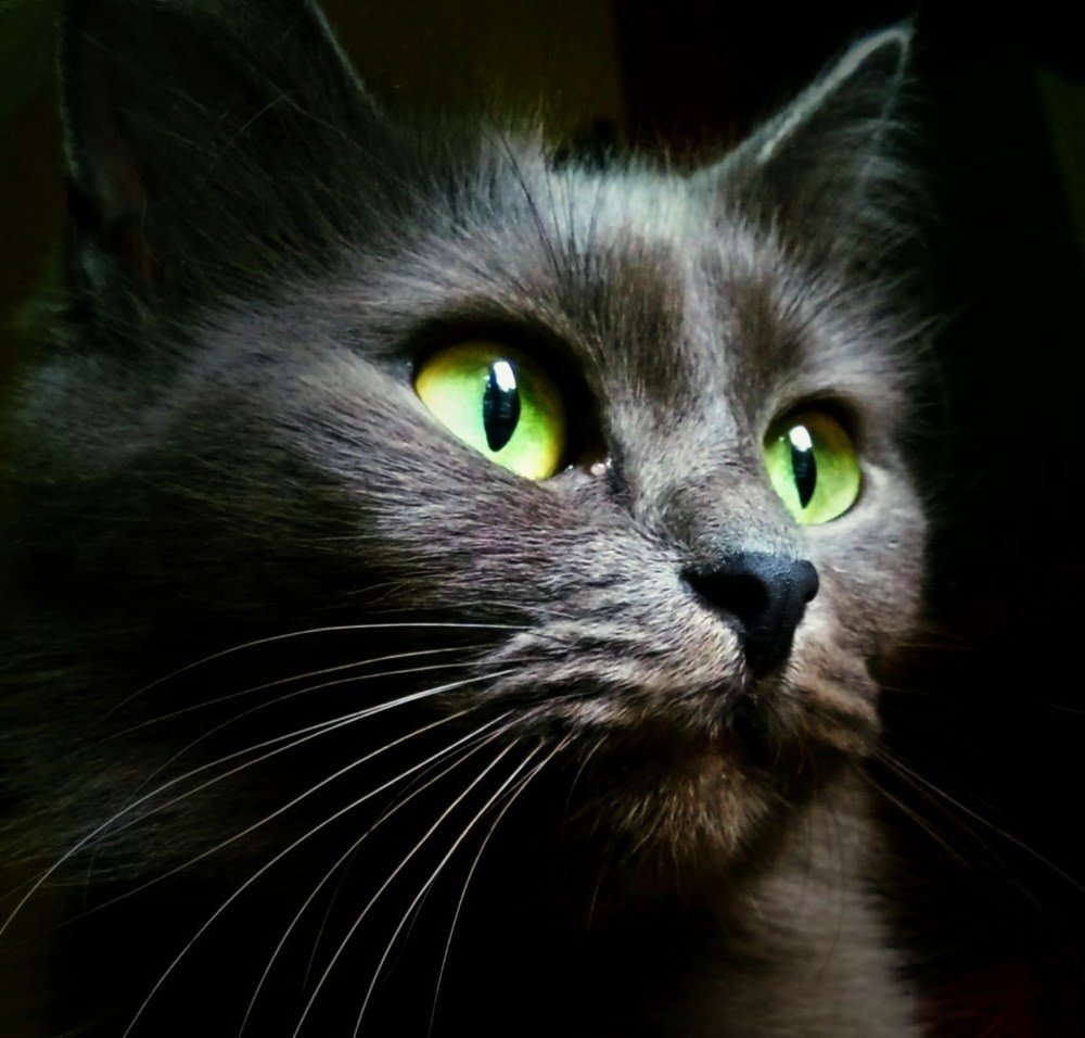 Photograph by Ольга Хромова