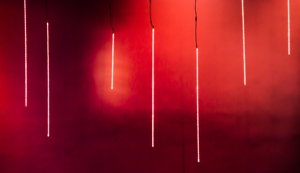 Photograph by Saulius Mikalauskas