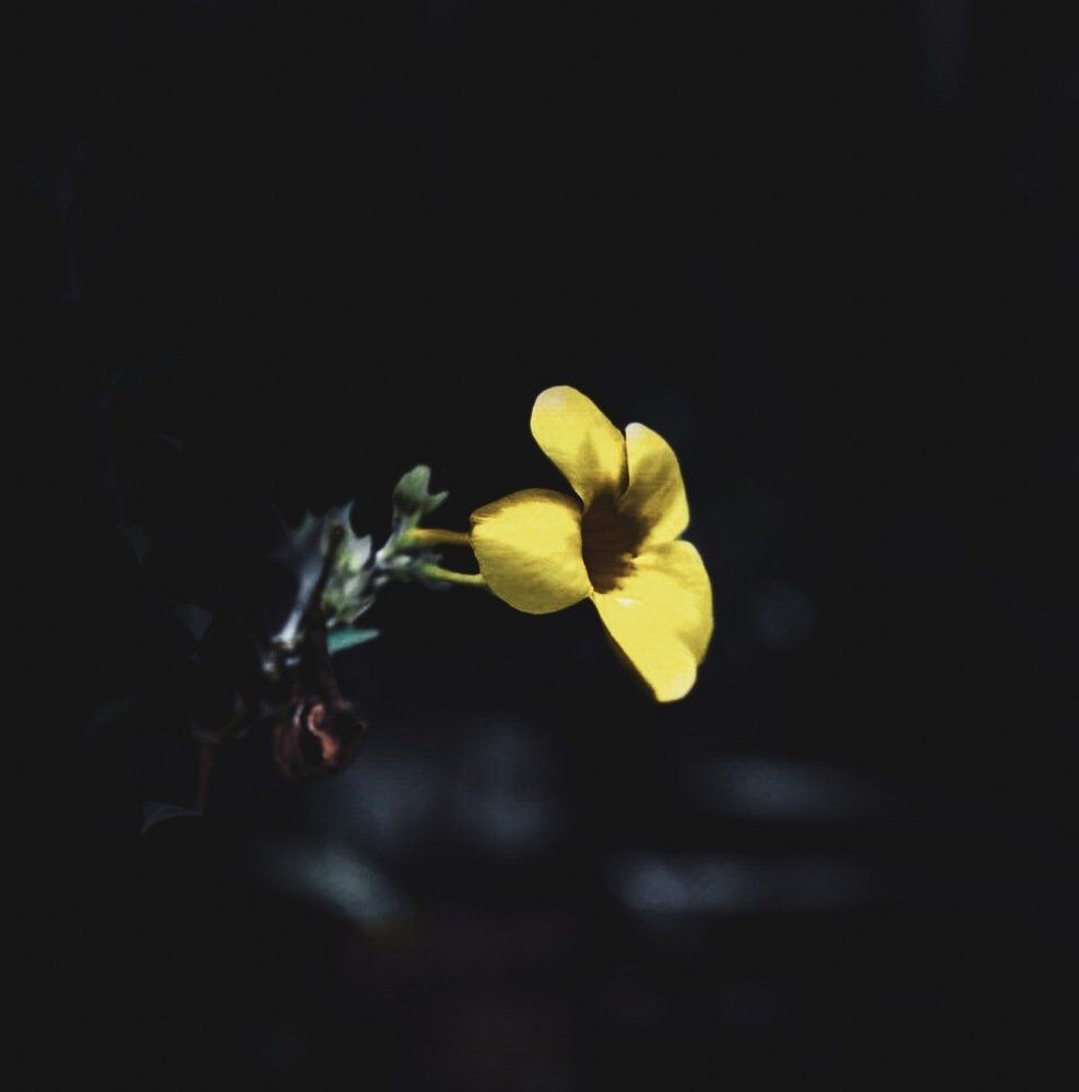 Photograph by Salman Nazeer