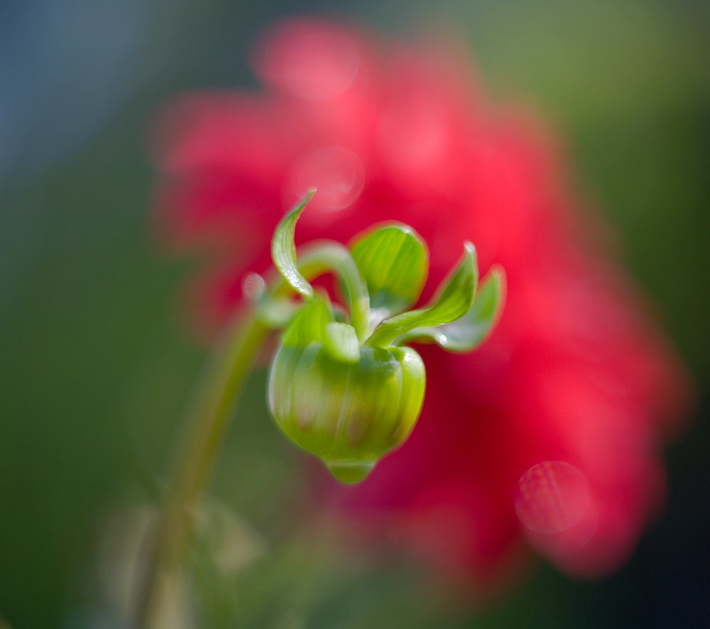 Photograph by коллега