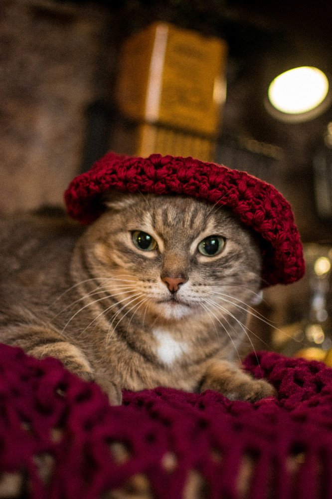 Photograph by Наталья Козырева