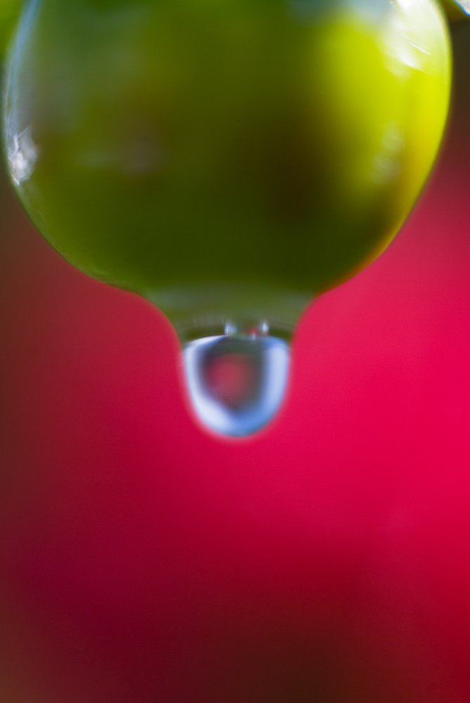 Photograph by Панюшкин Андрей
