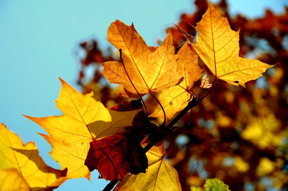 Photograph by Наталья Пирогова