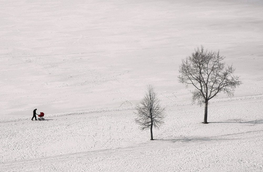Photograph by Владимир Брагилевский