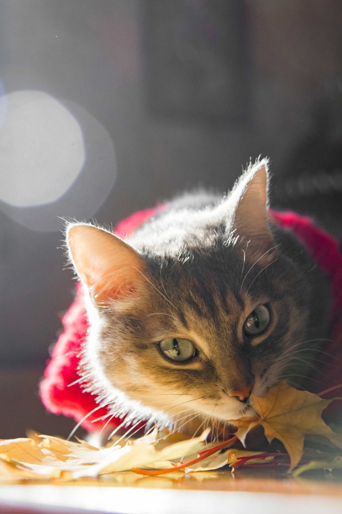 Photograph by Наталья Козырева