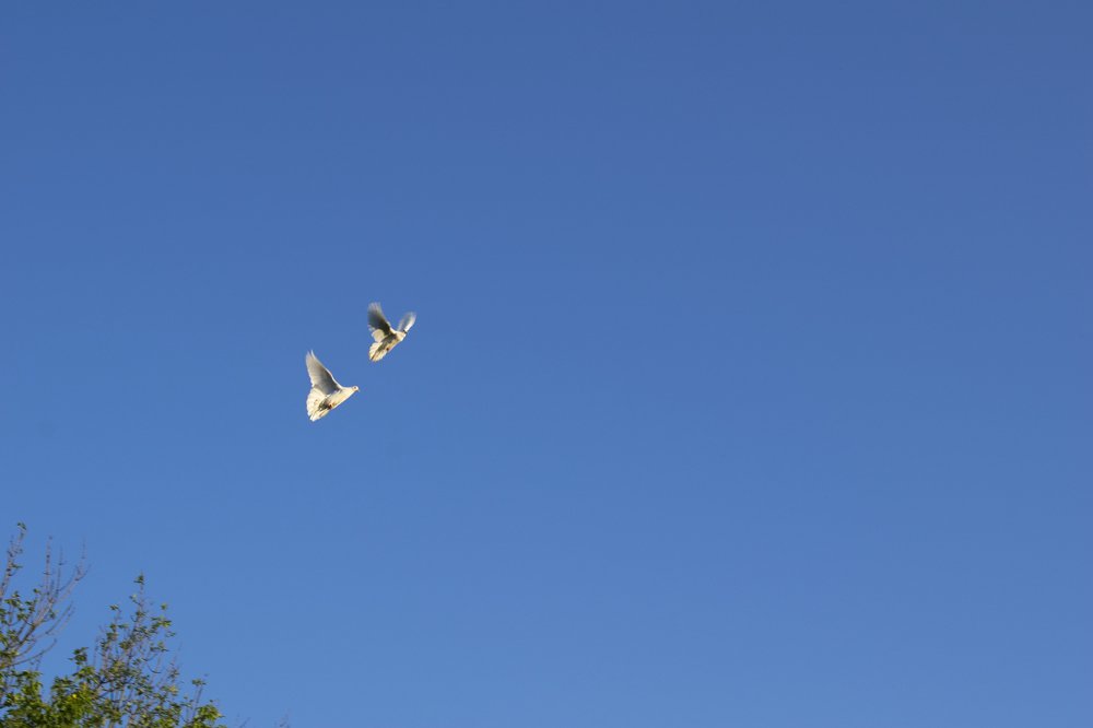 Photograph by Виктор Бурмистров