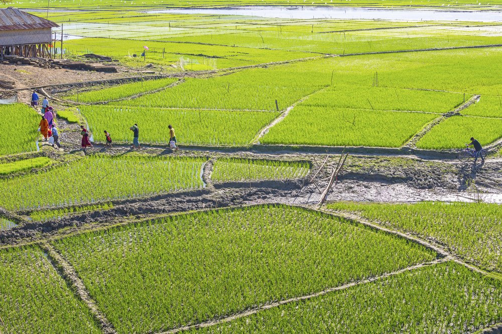 Photograph by  Sohel Chowdhury