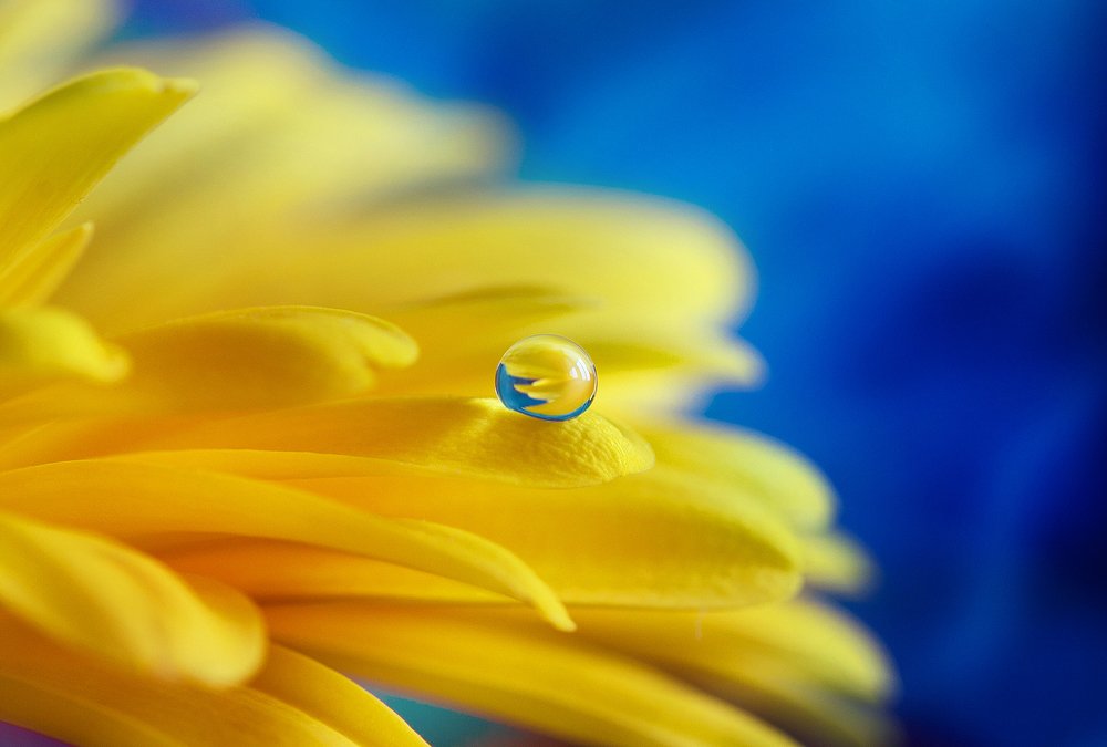 Photograph by Кабыжакова Валерия