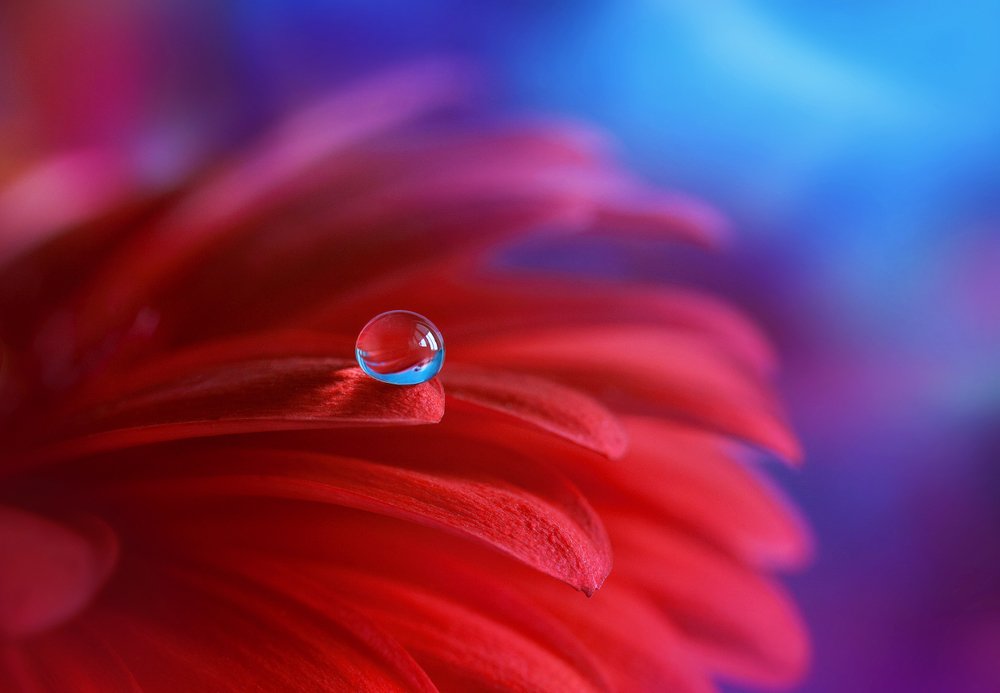 Photograph by Кабыжакова Валерия