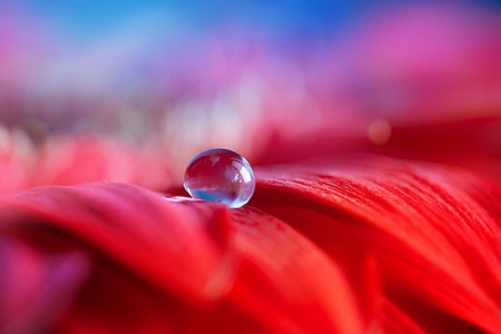 Photograph by Кабыжакова Валерия