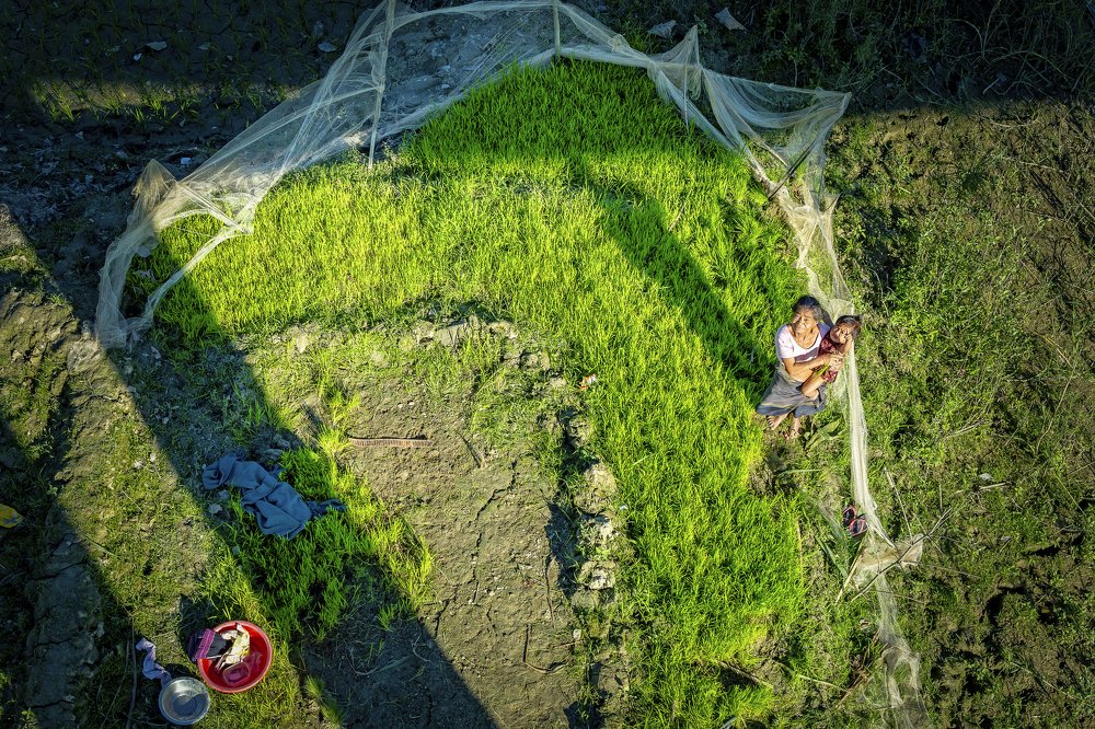 Photograph by  Sohel Chowdhury