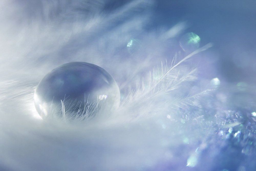 Photograph by Кабыжакова Валерия