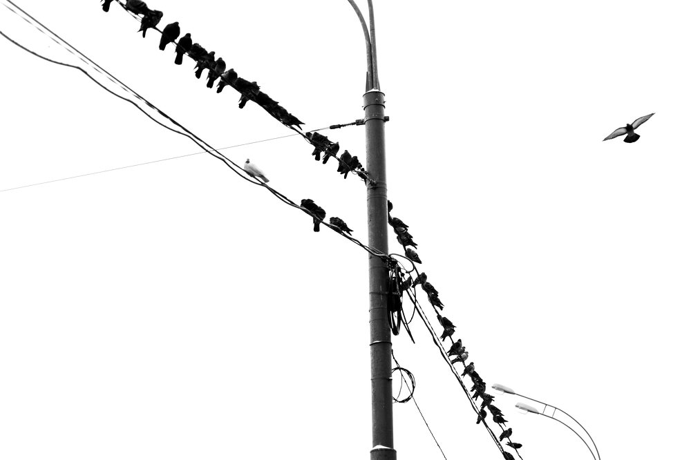 Photograph by Рамиль Газизов