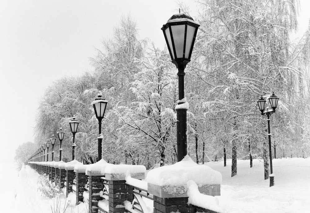 Photograph by Владимир Брагилевский