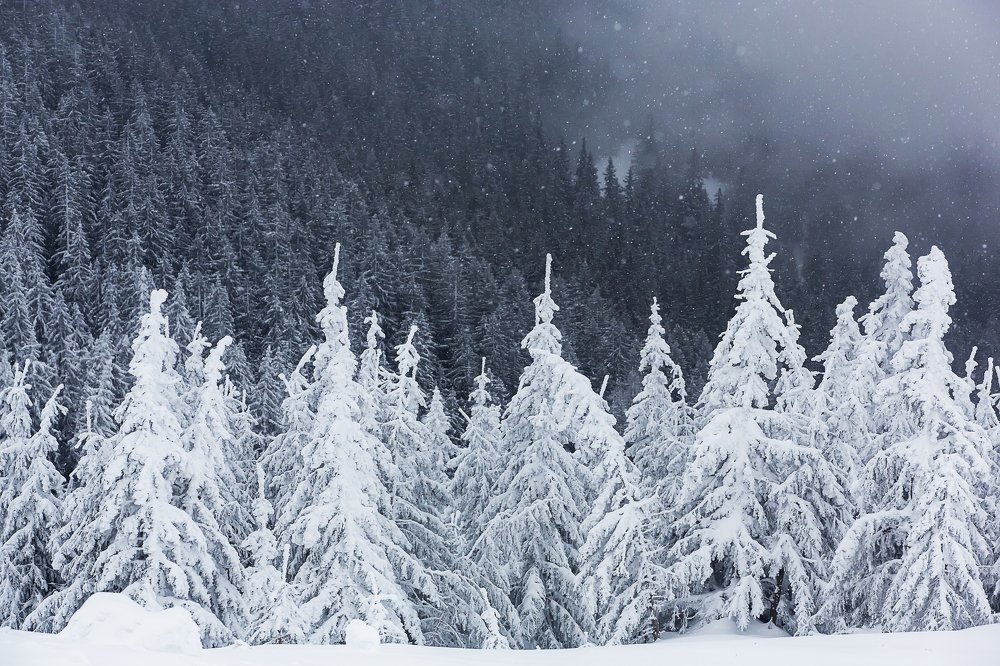 Photograph by Tudor Ghioc