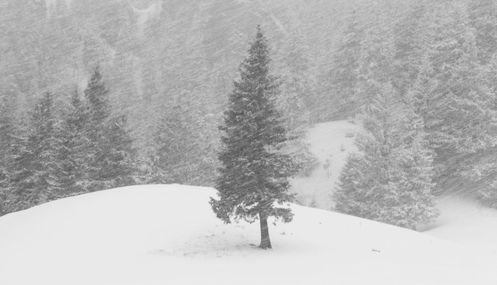 Photograph by Tudor Ghioc