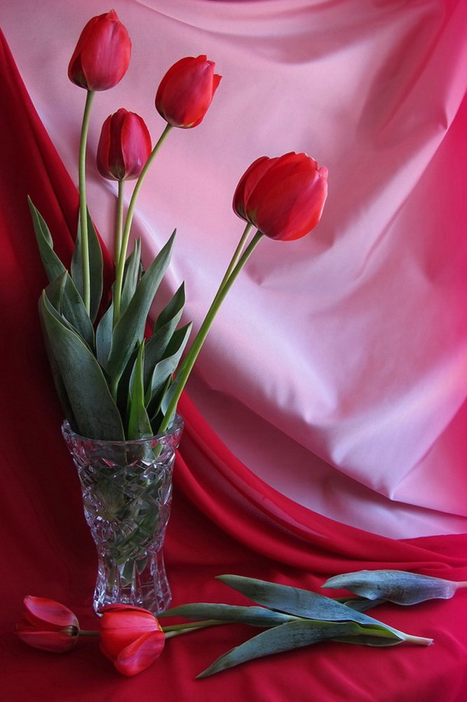 Photograph by Галья Щербина