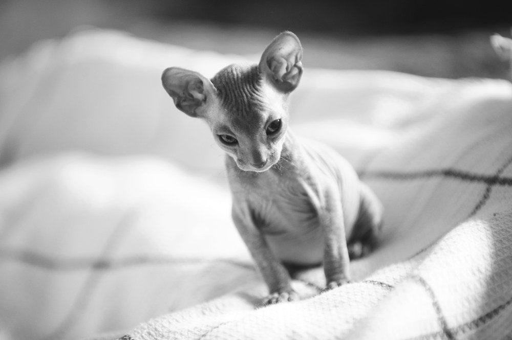 Photograph by Юлия Осипенко