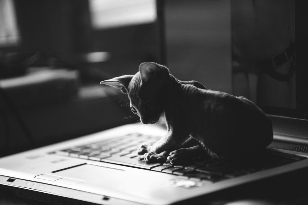 Photograph by Юлия Осипенко