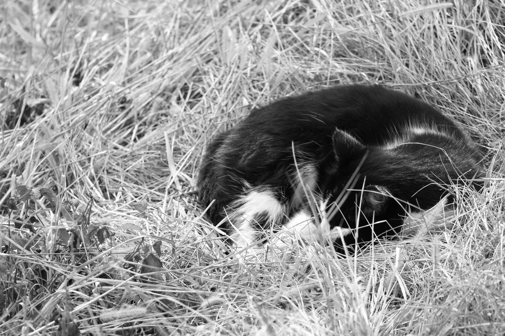 Photograph by Галина Литвинова