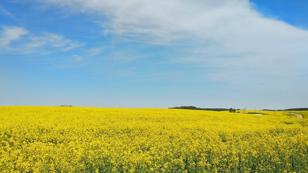 Photograph by Александр Быдрицкий