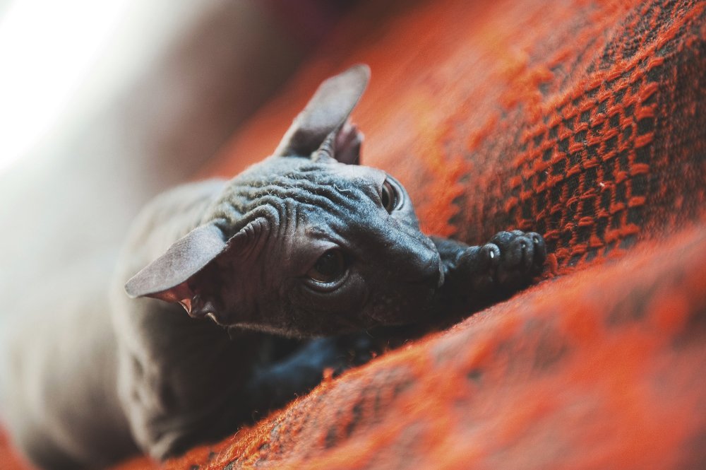 Photograph by Юлия Осипенко