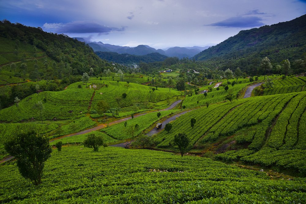 Photograph by Franklin Paul Juno Paul Juno