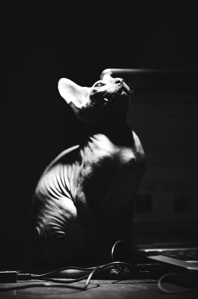 Photograph by Юлия Осипенко