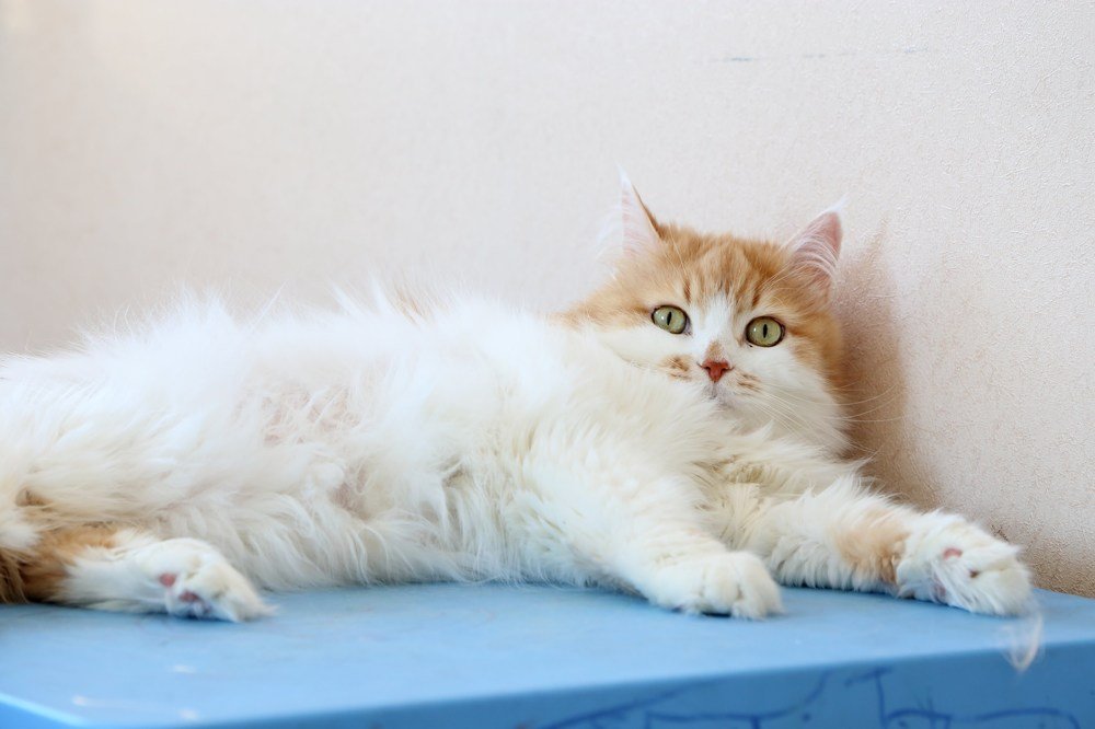 Памяти Макса посвящается